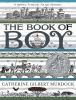 Book cover for "The book of Boy"