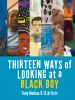 Book cover for "Thirteen ways of looking at a black boy"
